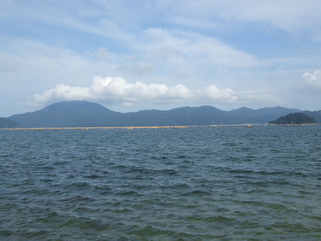 f0019498_16232628.jpg
