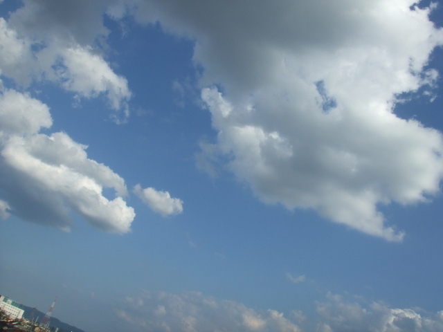 e0180099_16211248.jpg