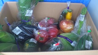 採れたて野菜セット_b0237604_9532483.jpg