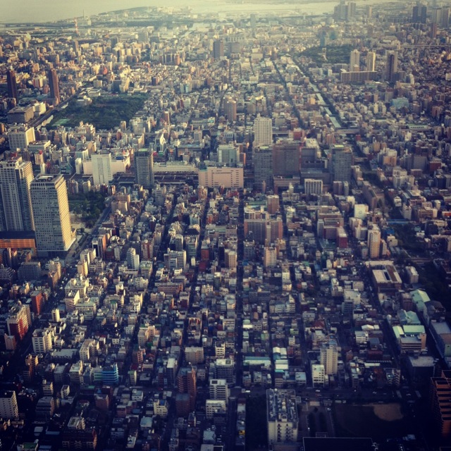 c0197505_2481824.jpg