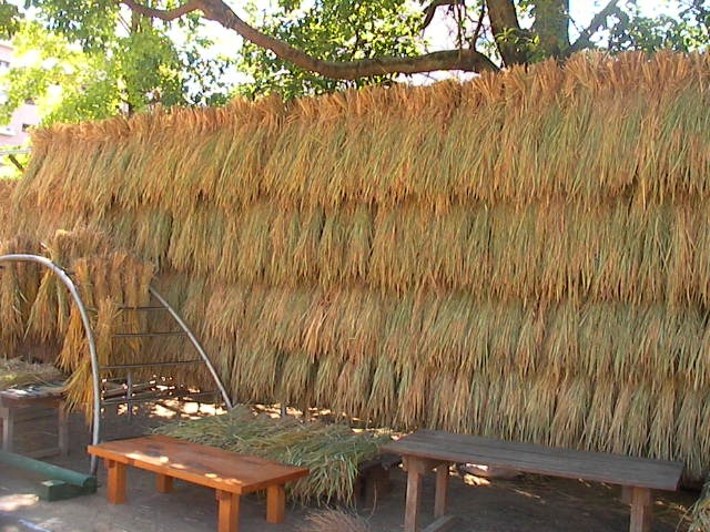f0038407_16352849.jpg