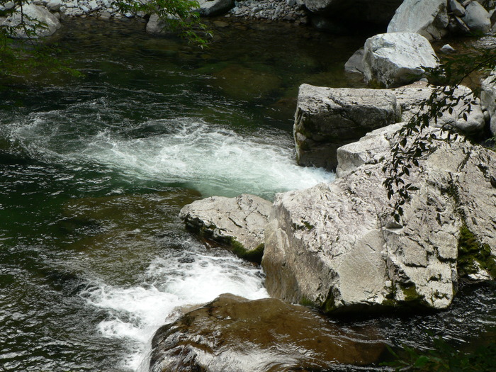 f0219710_1230865.jpg