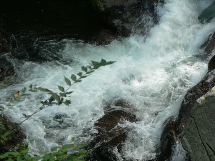 f0219710_12324135.jpg