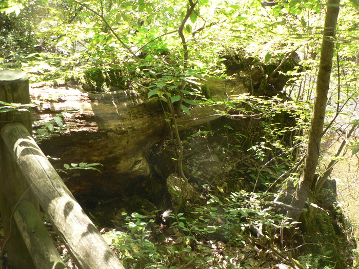 f0219710_1234547.jpg