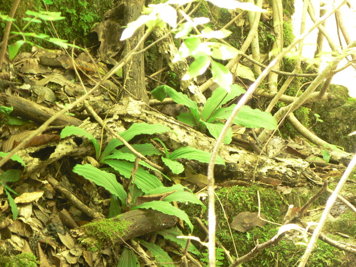 f0219710_1235851.jpg