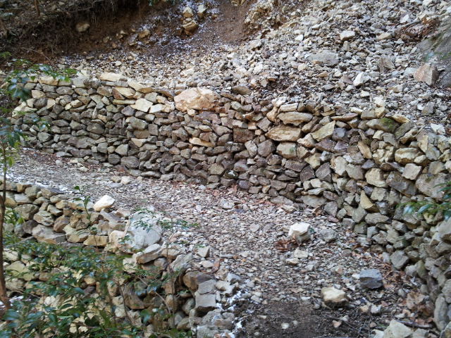 e0256112_848373.jpg