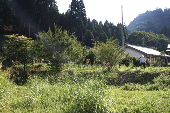 秋色の佐々里_e0048413_1953423.jpg