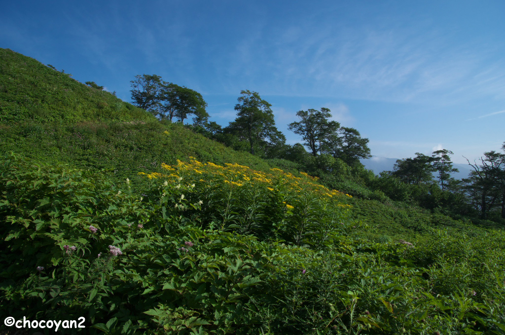  谷川岳　その②　2012年8月26日(日)_d0161322_23251538.jpg