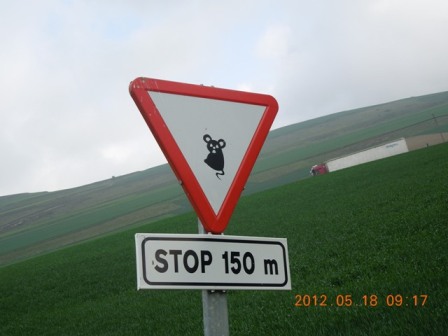 e0273924_213427.jpg
