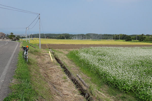 f0007926_1445826.jpg