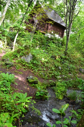 軽井沢旅行④　RIOさんのお散歩道で森林浴_f0124830_23161567.jpg