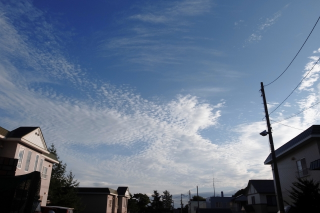 c0051132_1952310.jpg