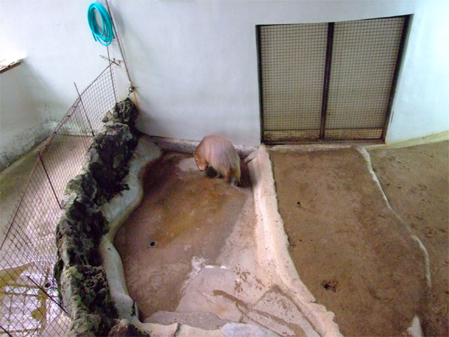 まりも『地獄』のトレーニング!_a0179837_9403087.jpg