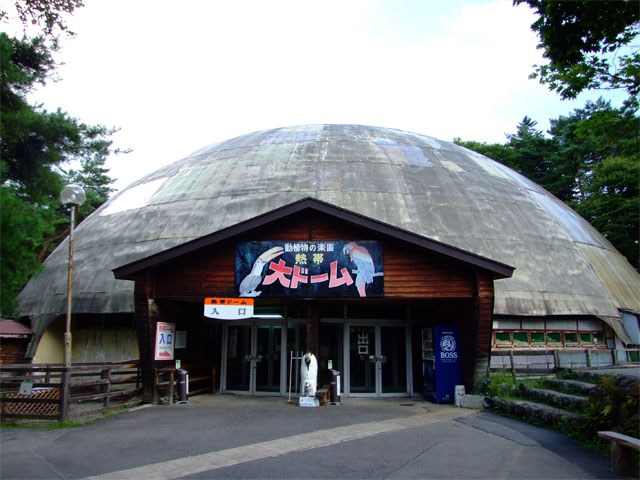 まりも『地獄』のトレーニング!_a0179837_9524775.jpg