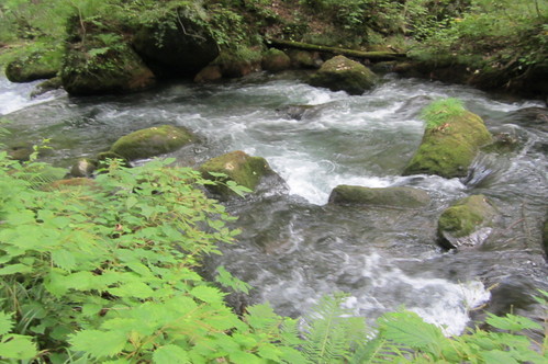 e0291638_81102.jpg