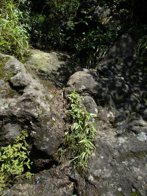 a0289641_8543744.jpg