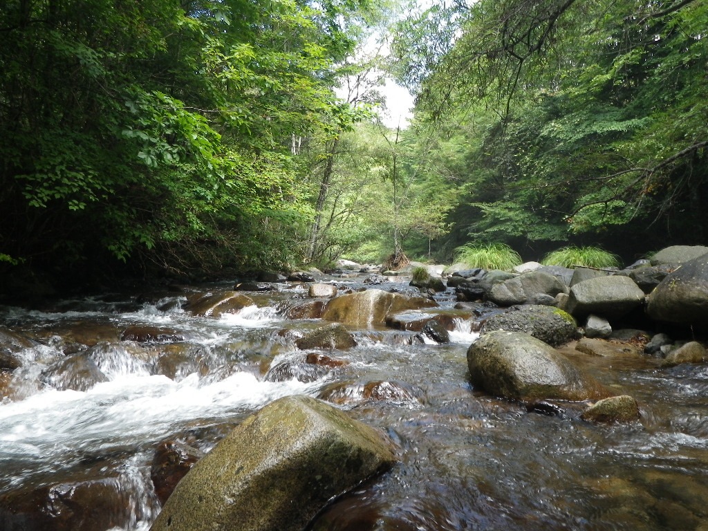 山梨の渓流へ　尺来様_e0202845_19293951.jpg