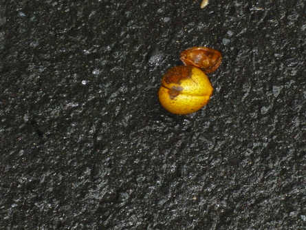 b0238249_2028202.jpg