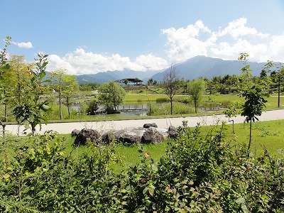いい天気の八色の森公園_a0084753_13274116.jpg