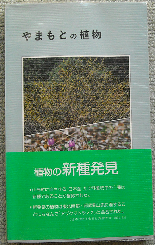 a0021554_2023925.png
