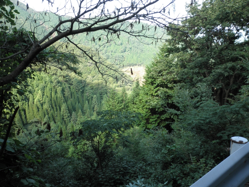 c0016259_22554511.jpg