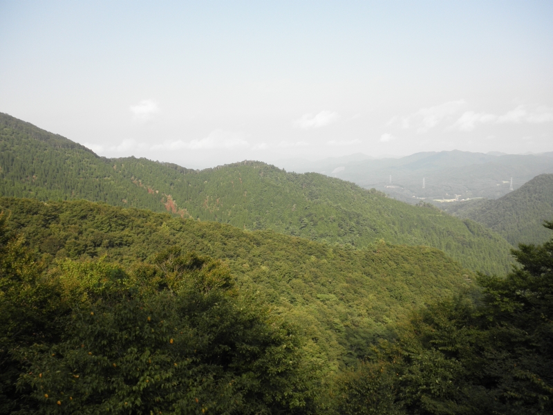 c0016259_2256552.jpg