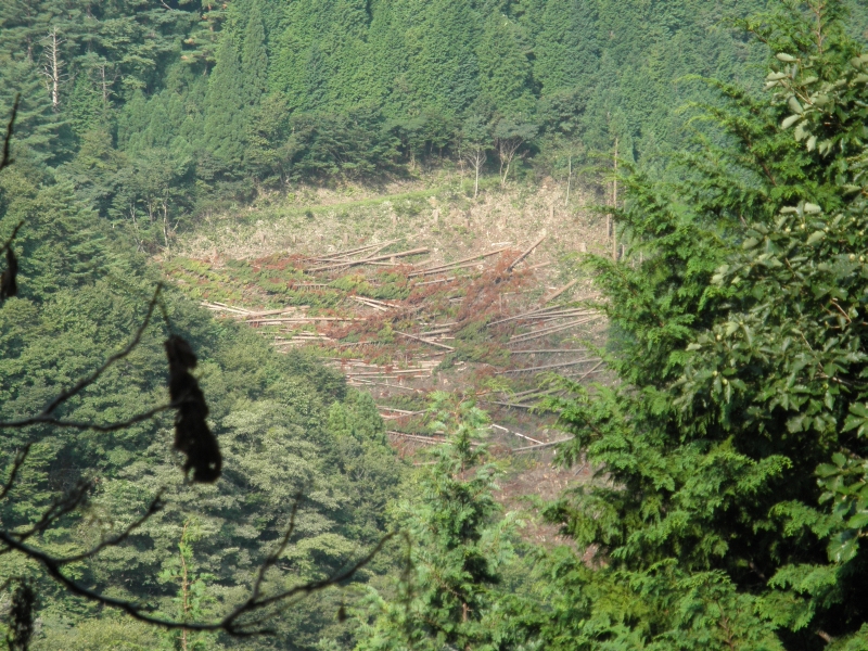 c0016259_2258549.jpg