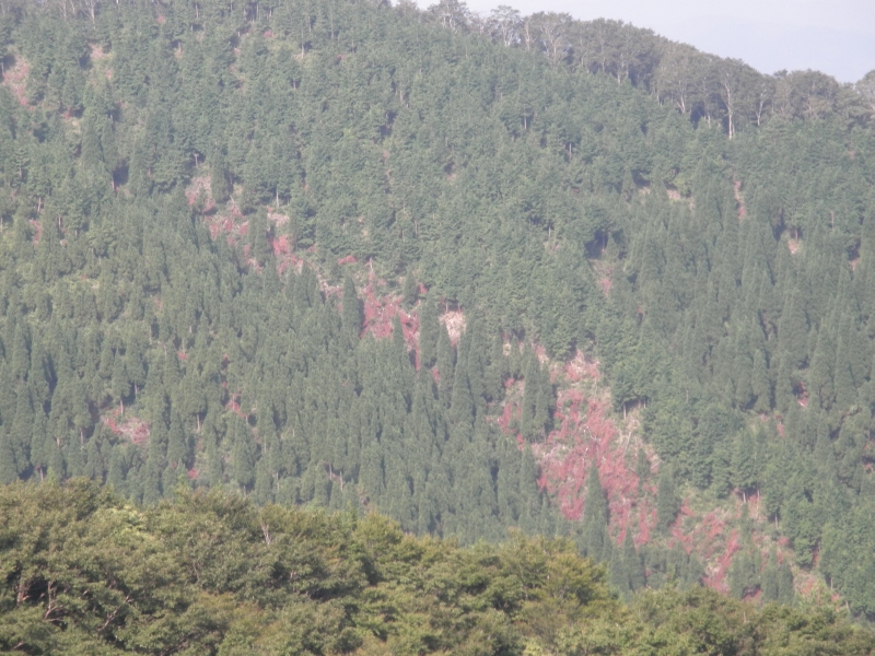 c0016259_2344170.jpg