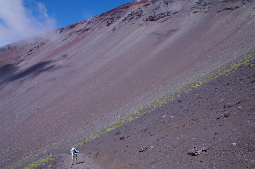 d0164761_9275831.jpg
