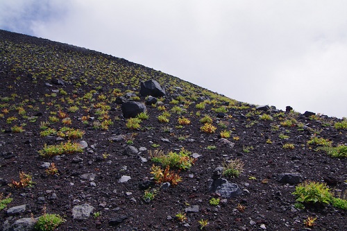 d0164761_948531.jpg