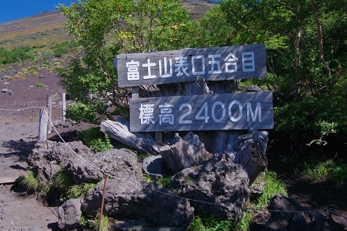 d0164761_97452.jpg