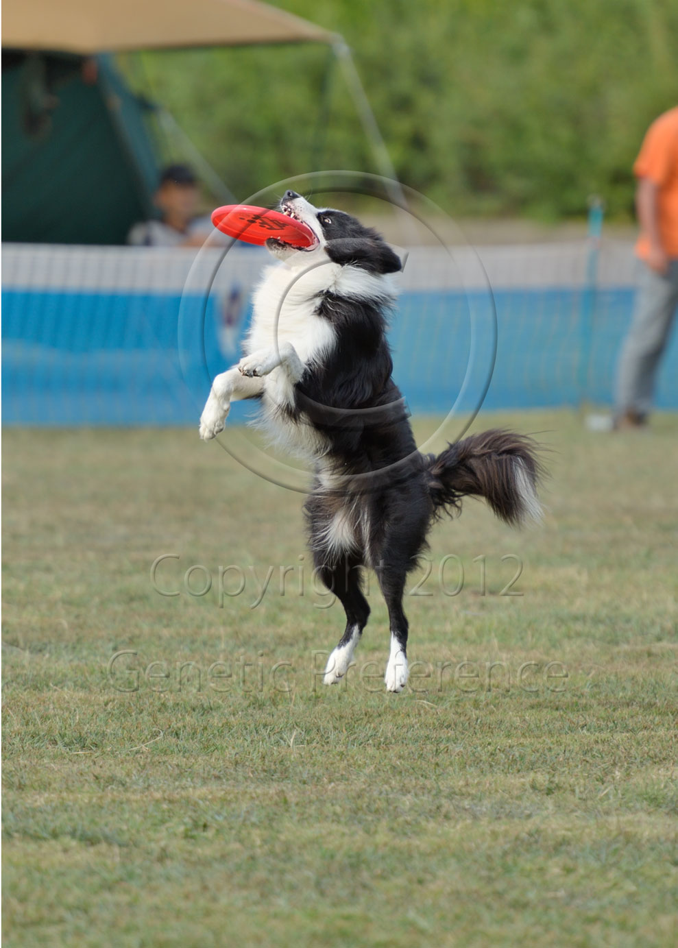 K9 Game11th 神戸農業公園　Vol.8_a0111162_1525816.jpg