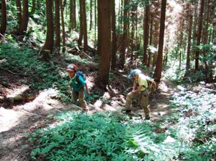 e0038665_10857.jpg