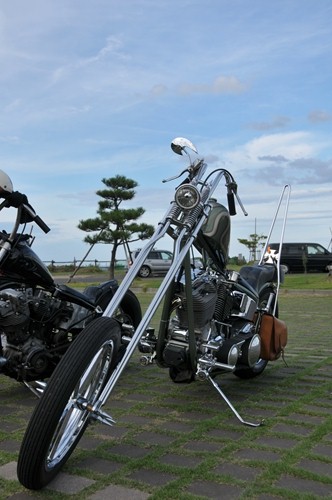 f0184668_1684245.jpg