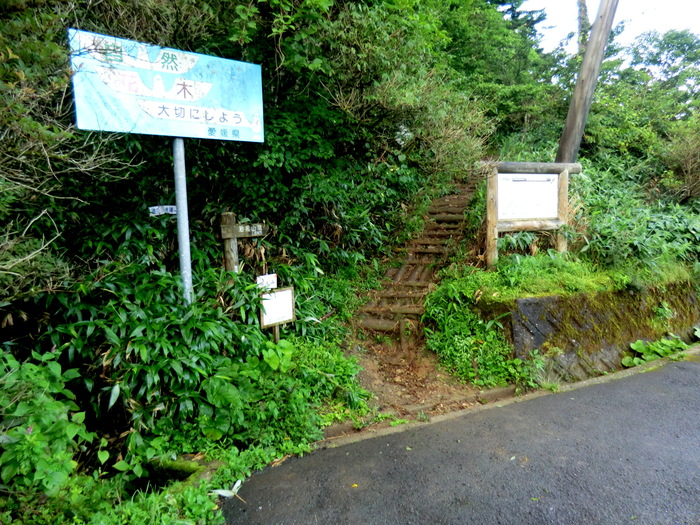 b0185573_139856.jpg