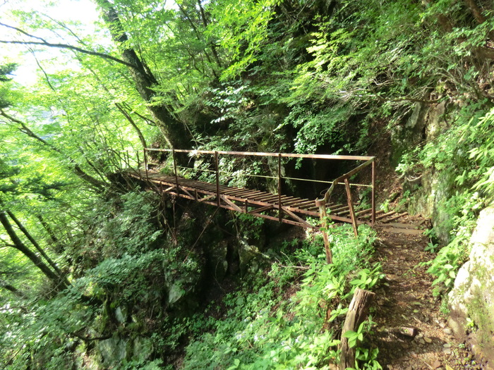 b0185573_17544495.jpg
