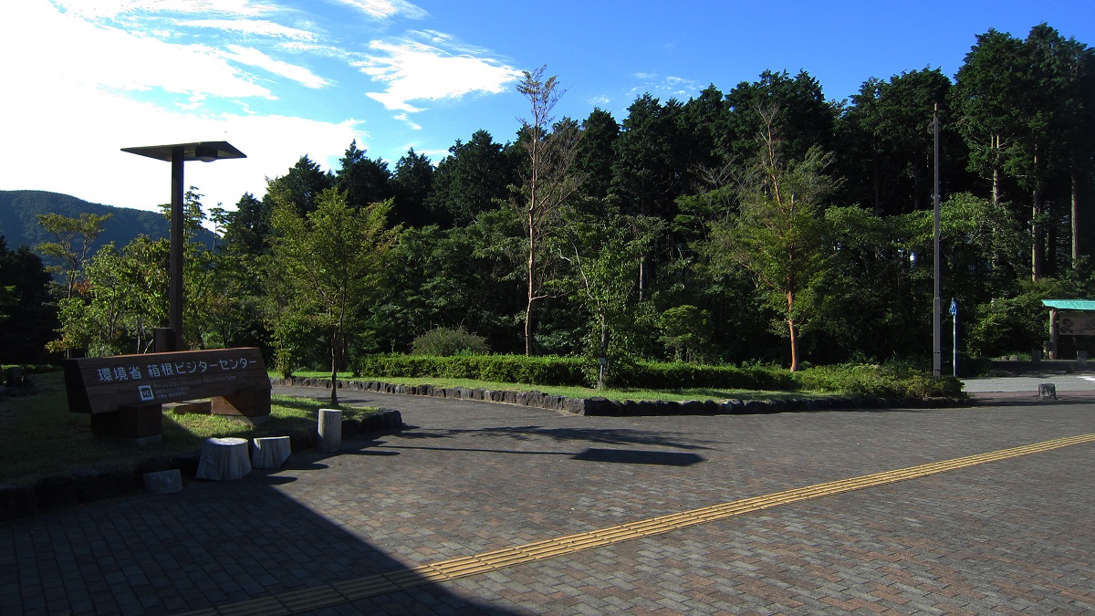 ネキトンボの止まったところは恐れ多くも。。。_a0107574_19581156.jpg