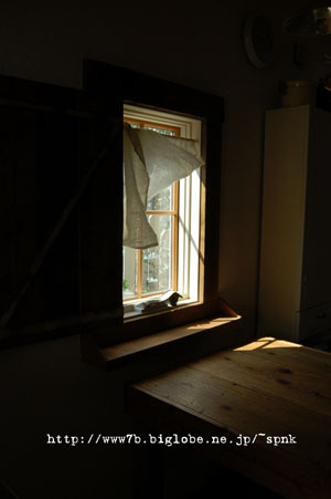 c0224982_9184145.jpg