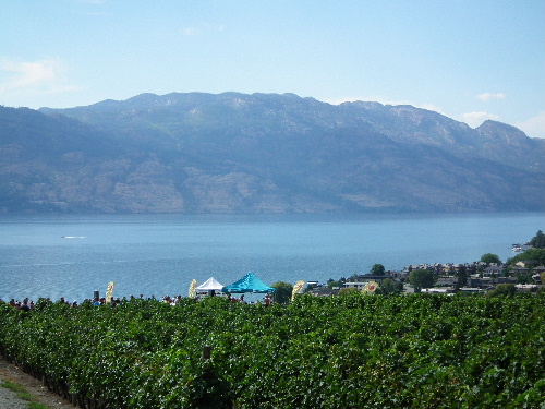 e0170687_1253211.jpg