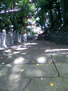 e0268291_23323125.jpg