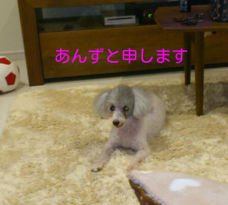 b0237894_14231610.png