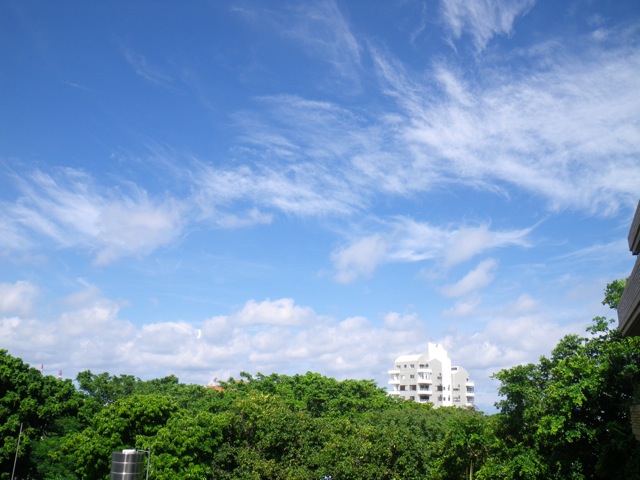 c0193396_11102743.jpg