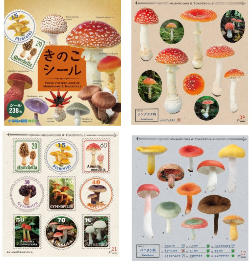 きのこの図鑑シールブック 絵本からはじまるすてきな暮らし Ardour きのこの図鑑シールブック 絵本からはじまるすてきな暮らし Ardour