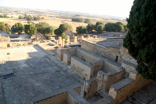 e0061699_01669.jpg