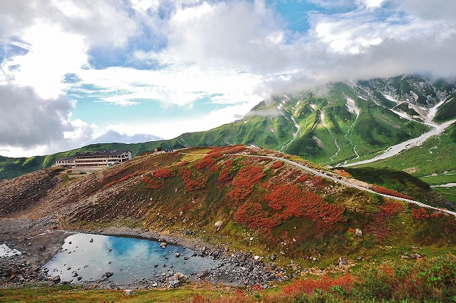 雷鳥沢の風景_a0169902_6545927.jpg