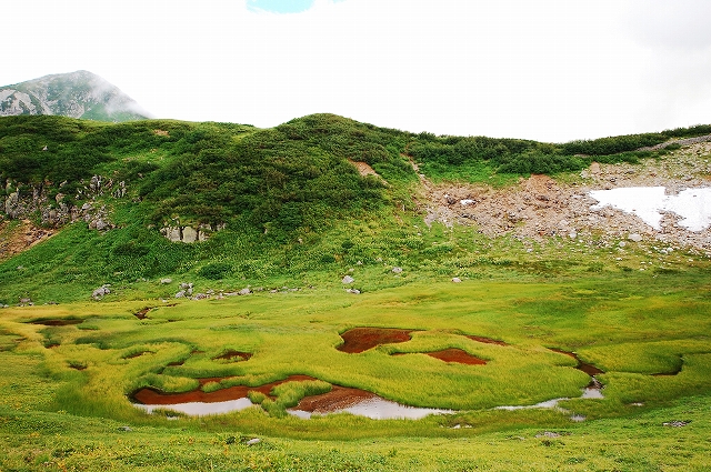 雷鳥沢の風景_a0169902_655493.jpg