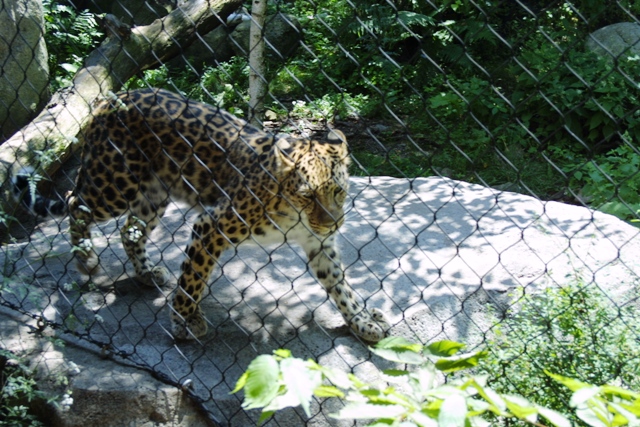 c0062603_024265.jpg