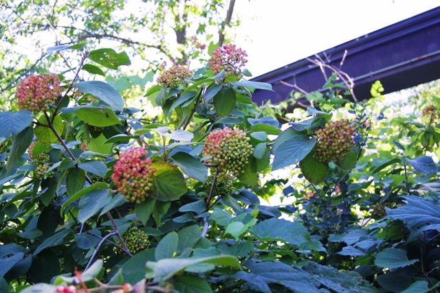 c0062603_034468.jpg