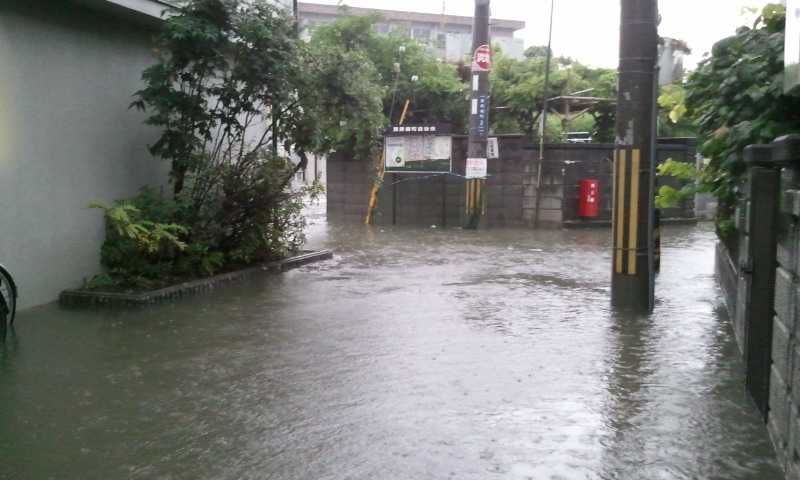 e0063003_10335335.jpg