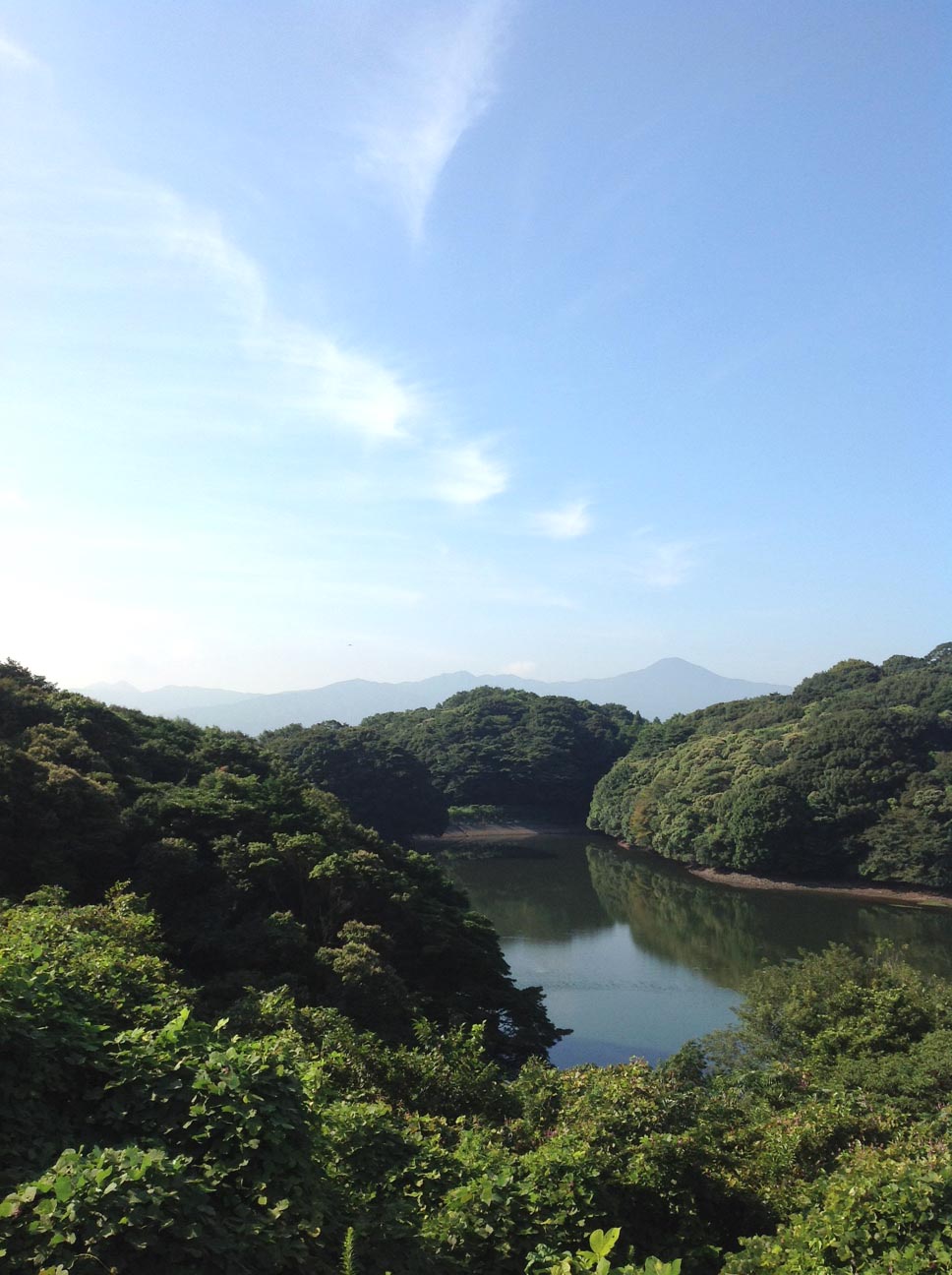 たけぬなかわ、高蔵山…インディゴ…ミカエル祭_f0071303_16312728.jpg